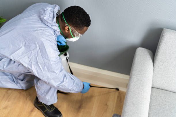 Emergency Pest Control Services in Midland, PA